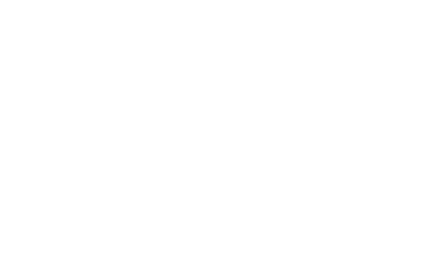 logo Agere Aude